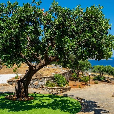 Elounda Anemelia Apartments Exteriér fotografie